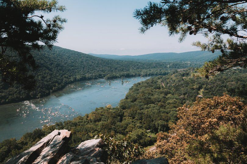 8. Maryland